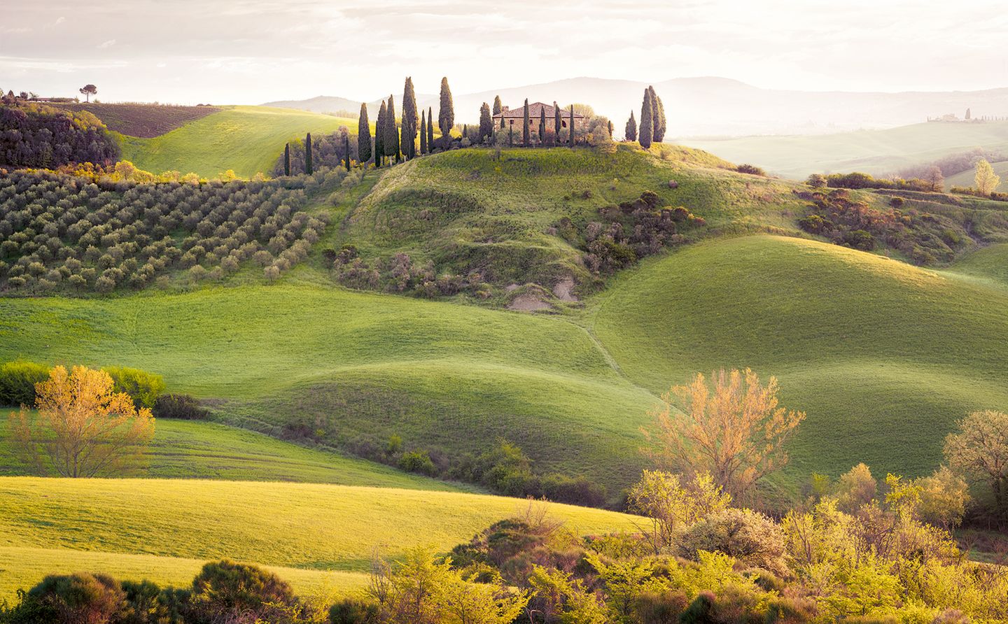 Wettervorhersage: Blitzlichtgewitter. Schon im Morgengrauen richten erste Fotografen ihre Kameras zum "Podere Belvedere". Das Landhaus im italienischen Val d’Orcia, umgeben von Zypressen und davonrollenden Wiesen, wirkt wie gemalt. Mehr Toskana in einem Bild? Unmöglich