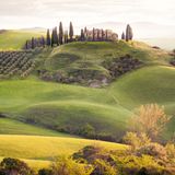 Wettervorhersage: Blitzlichtgewitter. Schon im Morgengrauen richten erste Fotografen ihre Kameras zum "Podere Belvedere". Das Landhaus im italienischen Val d’Orcia, umgeben von Zypressen und davonrollenden Wiesen, wirkt wie gemalt. Mehr Toskana in einem Bild? Unmöglich