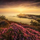 Der Mix aus azurblauem Meer, Blumen, Tempeln und Klippen verleiht Maltas kleiner Schwester Gozo die Würze. Die Geheimzutat der Insel aber ist eine andere: Schon die Römer sollen in der Xwejni Bay Salinen angelegt haben, in denen bis heute "weißes Gold" gewonnen wird – weiches, köstliches Meersalz