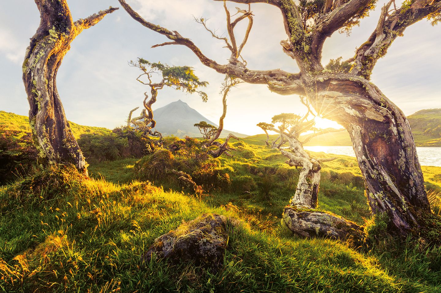 Pico, Portugal "Spitze" bedeutet "Pico" übersetzt. Auf die Azoreninsel trifft das gleich mehrfach zu: Ihr Vulkan Ponta do Pico ist der höchste Gipfel Portugals und spitzenmäßig zum Bergsteigen. Nur ab und an überlässt der berühmte Riese anderen den Spot im Rampenlicht: etwa Wiesen und Wacholdern am Lagoa do Capitão