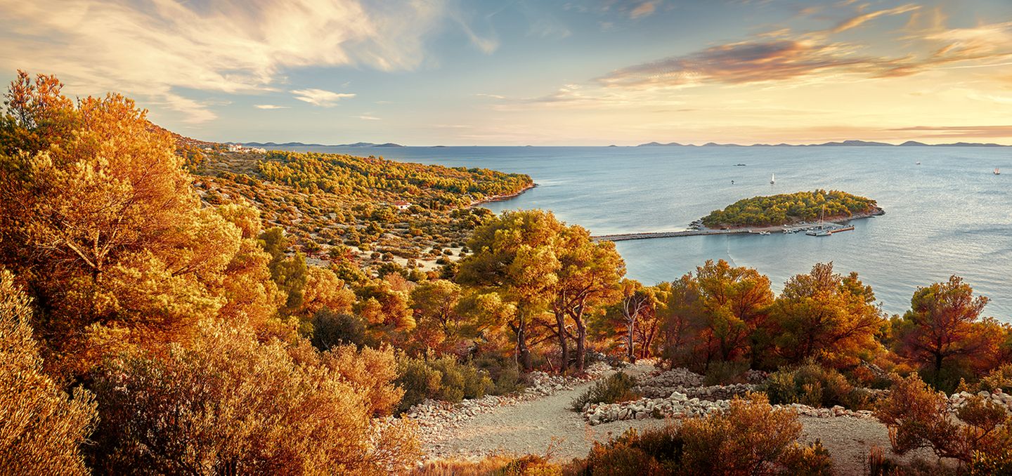 Langsam, ganz langsam färben sich die Wälder der kroatischen Sommerinsel Murter braun – ebenso wie die Badegäste, die am Strand Podvrške stehpaddeln, schwimmen und Eis essen. Ihre Sommersaison ist noch nicht vorüber: Dank des warmen Klimas lässt es sich noch bis Oktober in der Adria baden