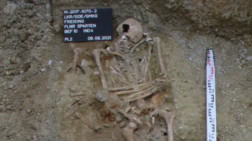 Freigelegtes Skelett in einer Grabhöhle Freigelegtes Skelett in einer Grabhöhle