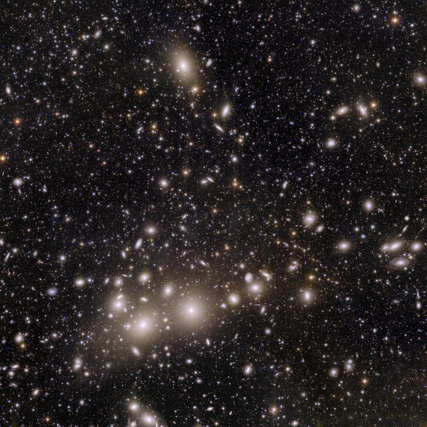 Nach astronomischen Maßstäben liegt der Perseushaufen gleich um die Ecke: 240 Millionen Lichtjahre trennen die etwa eintausend, von einer riesigen Wolke aus heißem Gas umschlungenen Galaxien von der Erde. Die Wissenschaftlerinnen und Wissenschaftler der Euclid-Mission jedoch interessieren sich vor allem für die etwa 100.000 Galaxien auf diesem Bild, die hinter Perseus liegen und bislang lediglich zu erahnen waren.  Das Licht der fernsten Exemplare reiste mehr als zehn Milliarden Jahre durchs All, bevor es Euclid erreichte. Die Besonderheit des Weltraum-Teleskops: Es fotografiert riesige Bereiche des Alls in messerscharfer Auflösung. In den kommenden sechs Jahren soll es ein Drittel des Himmels mit bislang unerreichter Genauigkeit vermessen.  Besonders sei man an weit entfernten Zwerggalaxien interessiert, sagt Jean-Charles Cuillandre vom Euclid-Konsortium: "Kosmologischen Simulationen zufolge sollte das Universum viel mehr Zwerggalaxien enthalten, als wir bisher gefunden haben. Wenn sie tatsächlich so häufig sind wie vorhergesagt, sollten wir sie mit Euclid sehen können."