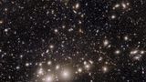 Nach astronomischen Maßstäben liegt der Perseushaufen gleich um die Ecke: 240 Millionen Lichtjahre trennen die etwa eintausend, von einer riesigen Wolke aus heißem Gas umschlungenen Galaxien von der Erde. Die Wissenschaftlerinnen und Wissenschaftler der Euclid-Mission jedoch interessieren sich vor allem für die etwa 100.000 Galaxien auf diesem Bild, die hinter Perseus liegen und bislang lediglich zu erahnen waren.  Das Licht der fernsten Exemplare reiste mehr als zehn Milliarden Jahre durchs All, bevor es Euclid erreichte. Die Besonderheit des Weltraum-Teleskops: Es fotografiert riesige Bereiche des Alls in messerscharfer Auflösung. In den kommenden sechs Jahren soll es ein Drittel des Himmels mit bislang unerreichter Genauigkeit vermessen.  Besonders sei man an weit entfernten Zwerggalaxien interessiert, sagt Jean-Charles Cuillandre vom Euclid-Konsortium: "Kosmologischen Simulationen zufolge sollte das Universum viel mehr Zwerggalaxien enthalten, als wir bisher gefunden haben. Wenn sie tatsächlich so häufig sind wie vorhergesagt, sollten wir sie mit Euclid sehen können."