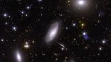 Die Verteilung und Struktur der weit entfernten Galaxien, so hoffen die Euclid-Astronom*innen, könnte Aufschluss darüber geben, wie die Dunkle Materie verteilt ist: innerhalb der einzelnen Galaxiehaufen, aber auch im gesamten Universum.  Damit Galaxiehaufen wie die des Perseus überhaupt existieren, braucht es Dunkle Materie. Unter Einfluss der Schwerkraft formt sie fadenförmige Strukturen, die den Kosmos wie ein Netz durchziehen. Wo sich die Filamente kreuzen, bilden sich Galaxie-Haufen. "Gäbe es keine Dunkle Materie, wären die Galaxien gleichmäßig im Universum verteilt", sagt Jean-Charles Cuillandre vom Euclid-Konsortium.