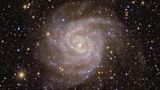 Ihren Beinamen "versteckte Galaxie" trägt IC 342, weil sie aus irdischer Perspektive hinter der leuchtend hellen Scheibe der Milchstraße liegt – und kaum durch das Sternenschimmern, den Staub und die Gaswolken sticht. Das Euclid-Teleskop vermaß das Licht, das von den vielen kalten und massearmen Sternen in IC 342 ausgeht, mit Infrarot-Instrumenten. So machte es die Galaxie sichtbar.  Bereits 2017 veröffentliche die Nasa Aufnahmen des Hubble-Weltraumteleskops, die den Kern der Galaxie dokumentierten. "Das Besondere der Euclid-Aufnahmen ist, dass wir einen weiten Blick auf die gesamte Galaxie haben, aber auch heranzoomen können, um einzelne Sterne und Sternhaufen zu unterscheiden", sagt Leslie Hunt vom Euclid-Konsortium. So lasse sich nachvollziehen, wie sich Sterne über die Lebensdauer der Galaxie formten und entwickelten.