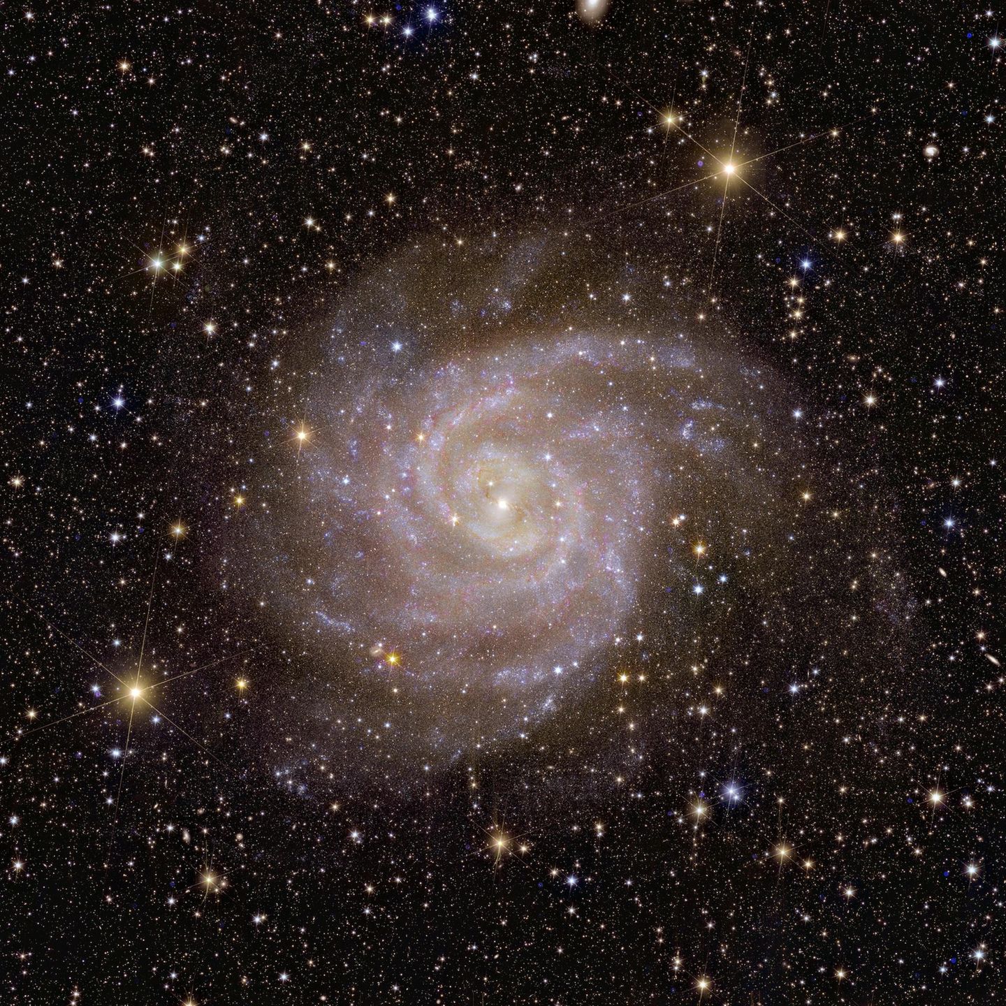 Ihren Beinamen "versteckte Galaxie" trägt IC 342, weil sie aus irdischer Perspektive hinter der leuchtend hellen Scheibe der Milchstraße liegt – und kaum durch das Sternenschimmern, den Staub und die Gaswolken sticht. Das Euclid-Teleskop vermaß das Licht, das von den vielen kalten und massearmen Sternen in IC 342 ausgeht, mit Infrarot-Instrumenten. So machte es die Galaxie sichtbar.  Bereits 2017 veröffentliche die Nasa Aufnahmen des Hubble-Weltraumteleskops, die den Kern der Galaxie dokumentierten. "Das Besondere der Euclid-Aufnahmen ist, dass wir einen weiten Blick auf die gesamte Galaxie haben, aber auch heranzoomen können, um einzelne Sterne und Sternhaufen zu unterscheiden", sagt Leslie Hunt vom Euclid-Konsortium. So lasse sich nachvollziehen, wie sich Sterne über die Lebensdauer der Galaxie formten und entwickelten.