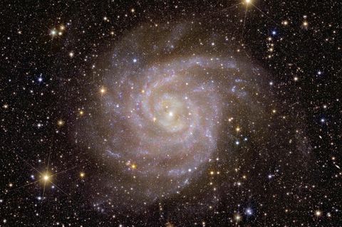 Ihren Beinamen "versteckte Galaxie" trägt IC 342, weil sie aus irdischer Perspektive hinter der leuchtend hellen Scheibe der Milchstraße liegt – und kaum durch das Sternenschimmern, den Staub und die Gaswolken sticht. Das Euclid-Teleskop vermaß das Licht, das von den vielen kalten und massearmen Sternen in IC 342 ausgeht, mit Infrarot-Instrumenten. So machte es die Galaxie sichtbar.  Bereits 2017 veröffentliche die Nasa Aufnahmen des Hubble-Weltraumteleskops, die den Kern der Galaxie dokumentierten. "Das Besondere der Euclid-Aufnahmen ist, dass wir einen weiten Blick auf die gesamte Galaxie haben, aber auch heranzoomen können, um einzelne Sterne und Sternhaufen zu unterscheiden", sagt Leslie Hunt vom Euclid-Konsortium. So lasse sich nachvollziehen, wie sich Sterne über die Lebensdauer der Galaxie formten und entwickelten.