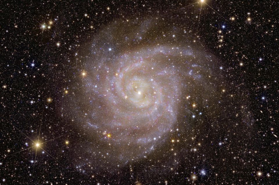 Ihren Beinamen "versteckte Galaxie" trägt IC 342, weil sie aus irdischer Perspektive hinter der leuchtend hellen Scheibe der Milchstraße liegt – und kaum durch das Sternenschimmern, den Staub und die Gaswolken sticht. Das Euclid-Teleskop vermaß das Licht, das von den vielen kalten und massearmen Sternen in IC 342 ausgeht, mit Infrarot-Instrumenten. So machte es die Galaxie sichtbar.  Bereits 2017 veröffentliche die Nasa Aufnahmen des Hubble-Weltraumteleskops, die den Kern der Galaxie dokumentierten. "Das Besondere der Euclid-Aufnahmen ist, dass wir einen weiten Blick auf die gesamte Galaxie haben, aber auch heranzoomen können, um einzelne Sterne und Sternhaufen zu unterscheiden", sagt Leslie Hunt vom Euclid-Konsortium. So lasse sich nachvollziehen, wie sich Sterne über die Lebensdauer der Galaxie formten und entwickelten.
