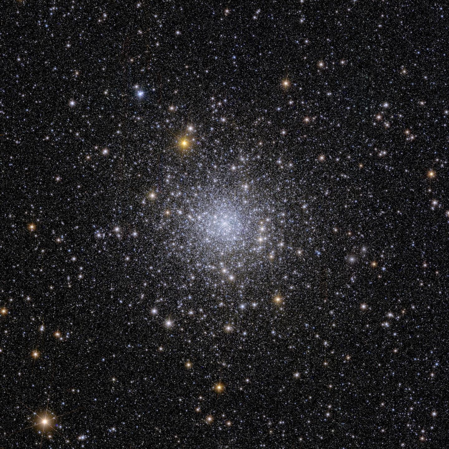NGC 6397: Gezeitenschweifen auf der Spur Der der Erde zweitnächste Kugelsternhaufen ist 7800 Lichtjahre entfernt. Hell in der Mitte der Aufnahme leuchten die meisten Sterne von NGC 6397. Ihre Strahlkraft macht Aufnahmen der randständigen und schwächer leuchtenden Sterne schwierig. Doch sind es jene älteren Sterne, an denen das Euclid-Forschungsteam interessiert ist: Sie könnten Aufschluss über Geschehnisse in der Milchstraße geben, auf deren Scheibe sie sich bewegen.