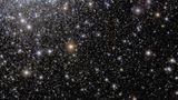 Im Moment könne kein anderes Teleskop einen gesamten Kugelsternhaufen beobachten und gleichzeitig die schwachen Sterne seiner äußeren Bereiche von anderen kosmischen Lichtquellen unterscheiden, sagt der Astronom Davide Massari. Er und seine Kolleg*innen suchen in Kugelsternhaufen nach "Gezeitenschweifen": einer Spur von Sternen, die sich aufgrund einer früheren Wechselwirkung mit einer Galaxie weit über den Haufen hinaus erstreckt.