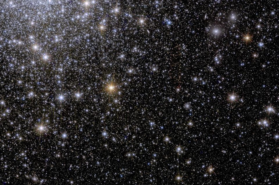 Im Moment könne kein anderes Teleskop einen gesamten Kugelsternhaufen beobachten und gleichzeitig die schwachen Sterne seiner äußeren Bereiche von anderen kosmischen Lichtquellen unterscheiden, sagt der Astronom Davide Massari. Er und seine Kolleg*innen suchen in Kugelsternhaufen nach "Gezeitenschweifen": einer Spur von Sternen, die sich aufgrund einer früheren Wechselwirkung mit einer Galaxie weit über den Haufen hinaus erstreckt.
