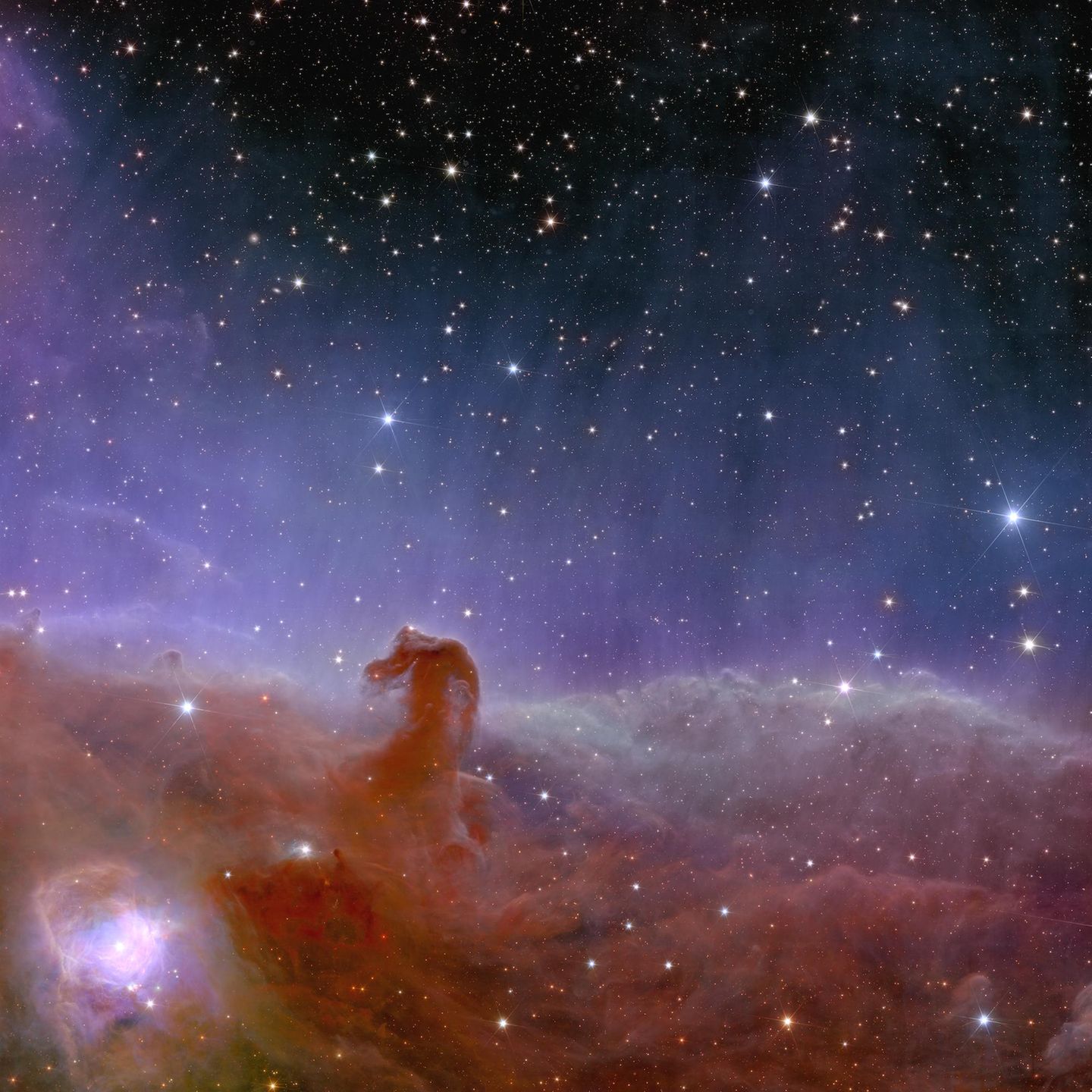 Die dunklen Wolken, 1375 Lichtjahre entfernt, bilden eine beinahe unheimlich irdische Gestalt: einen Pferdekopf. Zugleich sind sie die der Erde nächstgelegene Region, in der sich Riesensterne bilden. Das macht sie für Astronom*innen besonders interessant.  Der Nebel selbst besteht größtenteils aus kaltem Wasserstoff, der die Wolken dunkel erscheinen lässt. Für das Schimmern sorgt die ultraviolette Strahlung des Sternensystems Sigma Orionis, das außerhalb des Aufnahmebereichs von Euclid liegt. Wäre das Teleskop direkt auf die sehr hellen Sterne ausgerichtet, wäre kaum ein anderer Himmelskörper zu sehen.  Der Pferdekopfnebel wurde schon etliche Male in Bildern eingefangen, doch auch hier preisen die Esa-Forschenden die neue Qualität ihrer Aufnahme, die innerhalb von nur einer Stunde entstanden sei. Sie hoffen, in der stellaren Kinderstube viele lichtschwache und bislang ungesehene Babysterne sowie junge braune Zwerge zu entdecken. Braune Zwerge sind Zwitterwesen: Sie sind massereicher als Gasplaneten, aber zu leicht, um ein Sternenfeuer zu entzünden, bei dem Wasserstoffatomkerne verschmelzen.