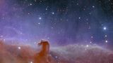 Die dunklen Wolken, 1375 Lichtjahre entfernt, bilden eine beinahe unheimlich irdische Gestalt: einen Pferdekopf. Zugleich sind sie die der Erde nächstgelegene Region, in der sich Riesensterne bilden. Das macht sie für Astronom*innen besonders interessant.  Der Nebel selbst besteht größtenteils aus kaltem Wasserstoff, der die Wolken dunkel erscheinen lässt. Für das Schimmern sorgt die ultraviolette Strahlung des Sternensystems Sigma Orionis, das außerhalb des Aufnahmebereichs von Euclid liegt. Wäre das Teleskop direkt auf die sehr hellen Sterne ausgerichtet, wäre kaum ein anderer Himmelskörper zu sehen.  Der Pferdekopfnebel wurde schon etliche Male in Bildern eingefangen, doch auch hier preisen die Esa-Forschenden die neue Qualität ihrer Aufnahme, die innerhalb von nur einer Stunde entstanden sei. Sie hoffen, in der stellaren Kinderstube viele lichtschwache und bislang ungesehene Babysterne sowie junge braune Zwerge zu entdecken. Braune Zwerge sind Zwitterwesen: Sie sind massereicher als Gasplaneten, aber zu leicht, um ein Sternenfeuer zu entzünden, bei dem Wasserstoffatomkerne verschmelzen.