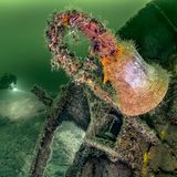 Eine braun verrostete Schiffsglocke auf einem zerfallenden Schiff