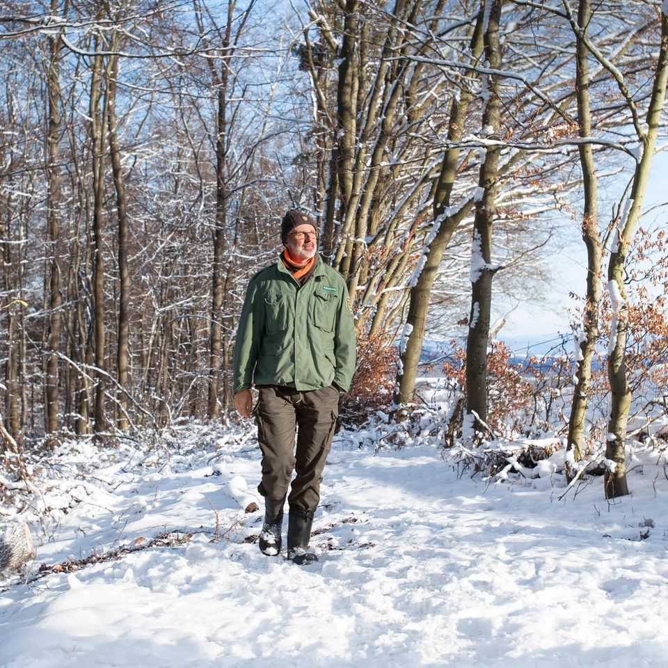 Auch Bäume halten Winterruhe, hier Stoffwechsel verlangsamt sich, im Stamm und in den Wurzeln lagern sie Nährstoffe ein
