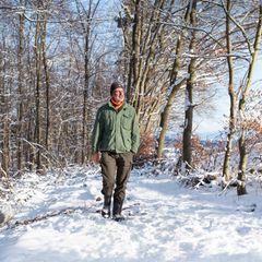 Auch Bäume halten Winterruhe, hier Stoffwechsel verlangsamt sich, im Stamm und in den Wurzeln lagern sie Nährstoffe ein