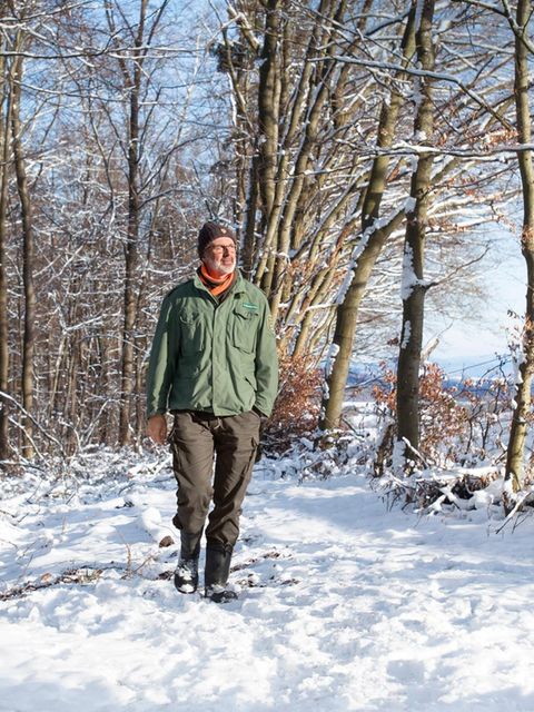 Auch Bäume halten Winterruhe, hier Stoffwechsel verlangsamt sich, im Stamm und in den Wurzeln lagern sie Nährstoffe ein