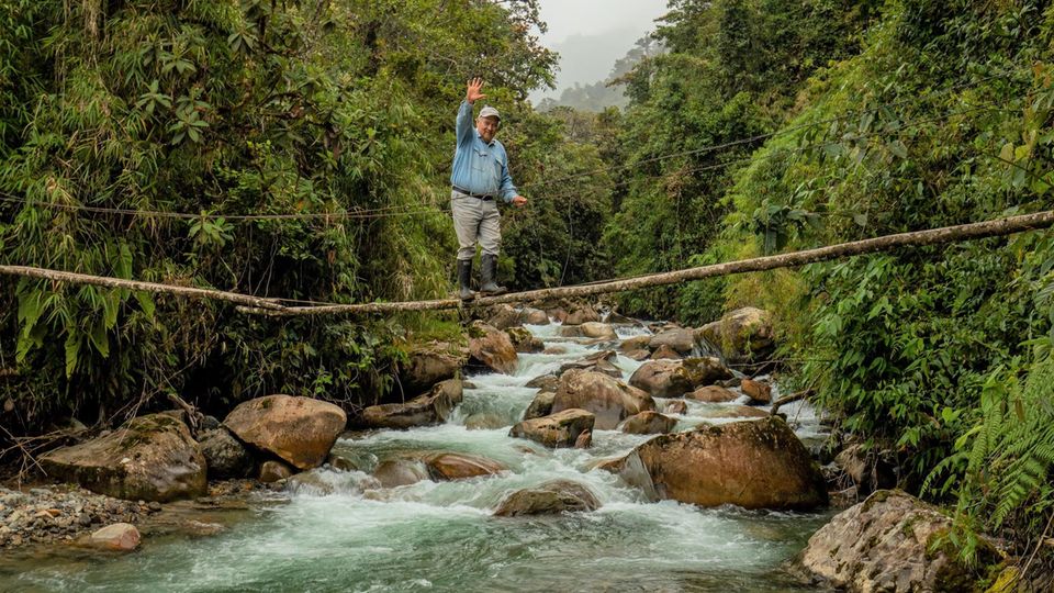 Pedro Varela balanciert auf einem Ast, der als Brücke über einen Bach dient