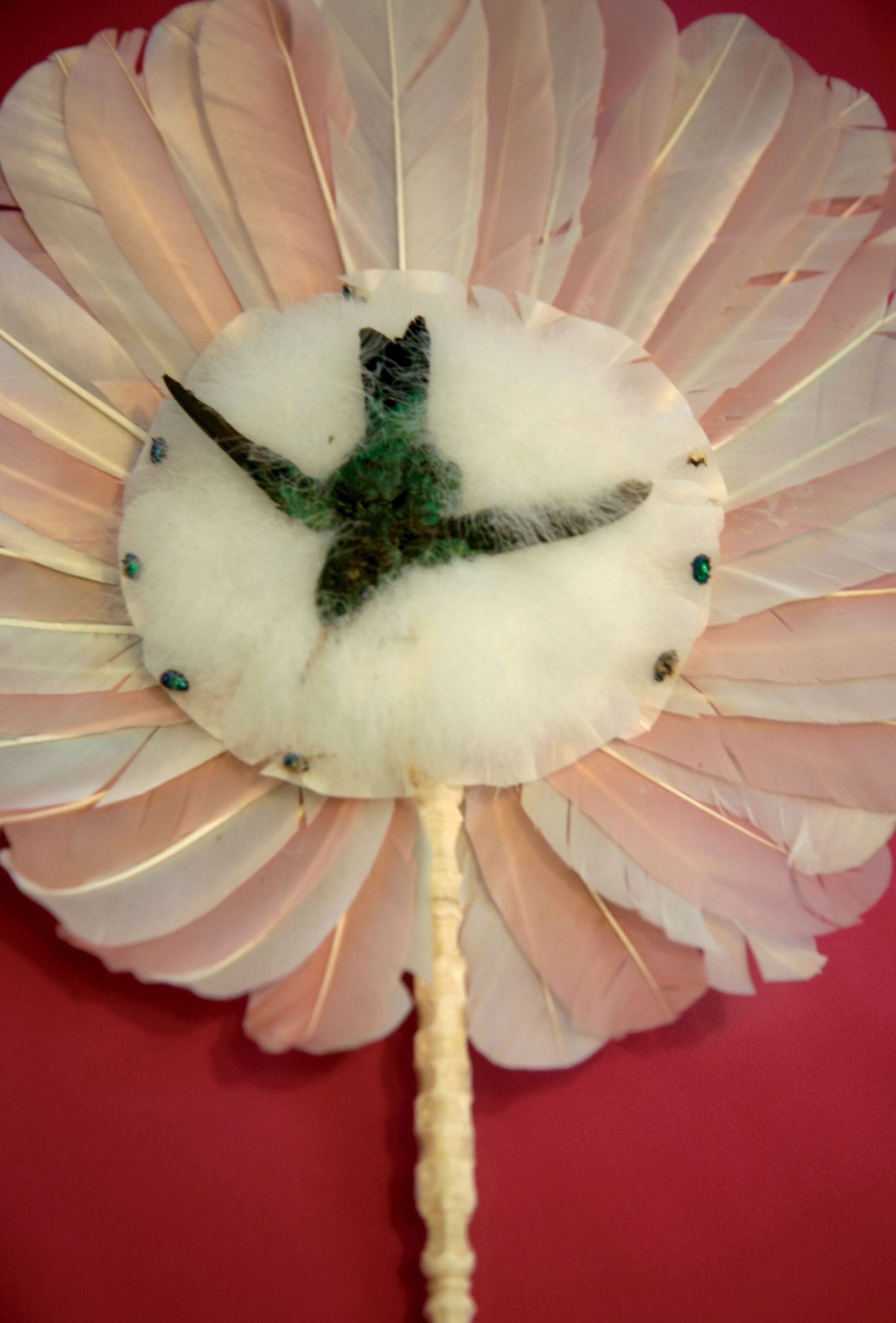 So vielfaltig: das Fan Museum Fächer aus Federn in Nahaufnahme, die Mitte dekoriert eine Schwalbe.