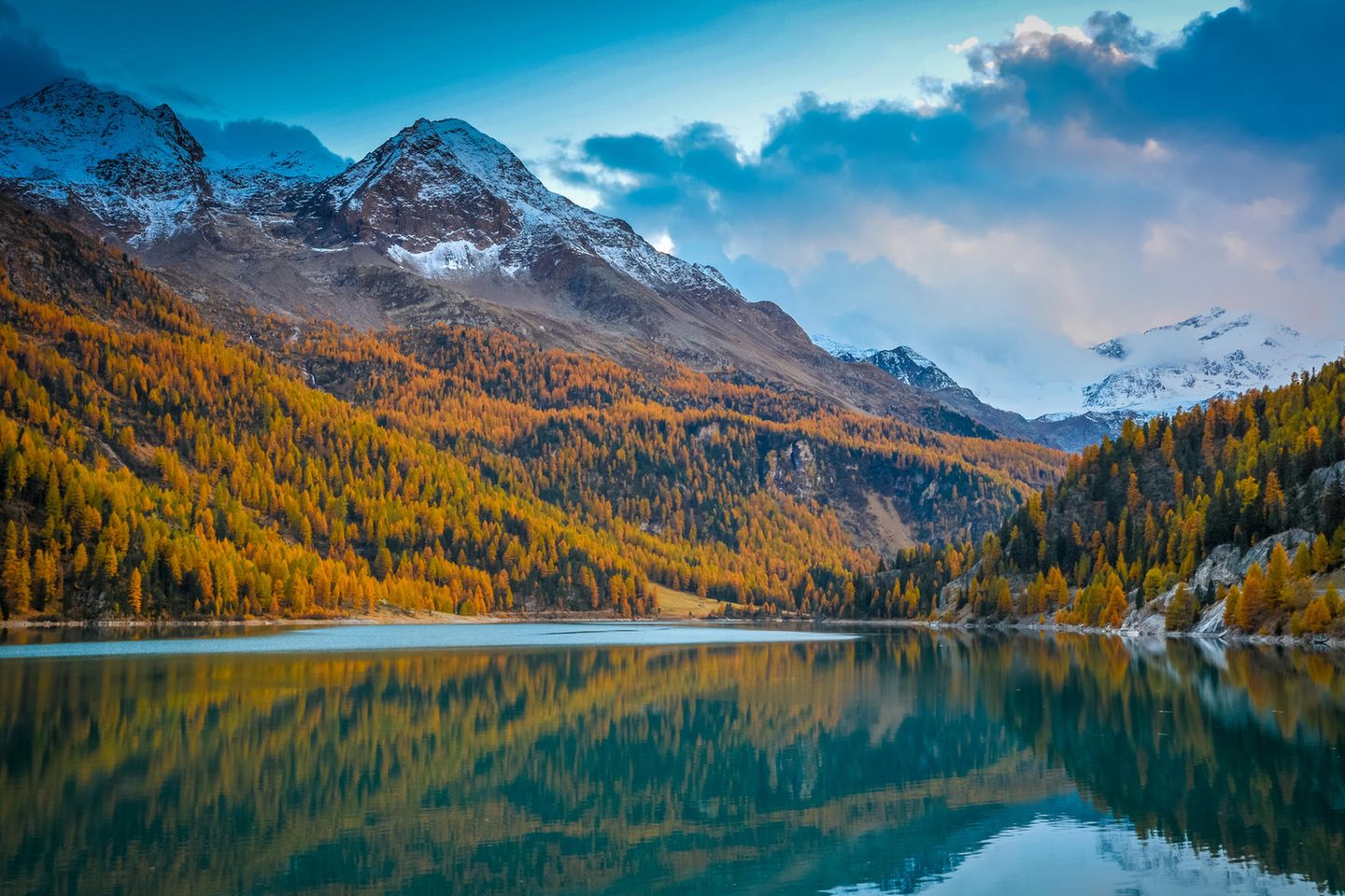 Einfacher Weg für alle: Zufrittsee Herbstliche Lärchenwälder glühen an den Hängen, Gipfel mit Schnee, unten das stille Wasser eines großen Sees.