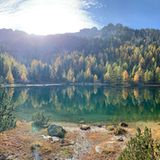 Herbstlicher Wald und Hänge im Hintergrund, alles spiegelt sich im See, Seeufer mit Pflanzen und Erde.