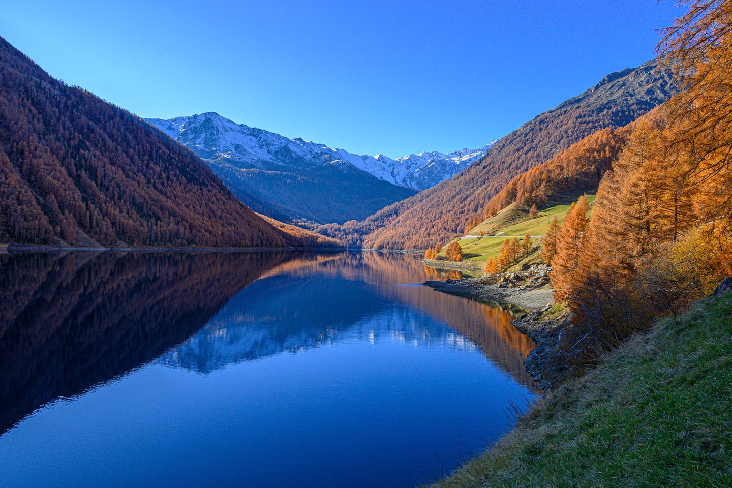 Herbstlicher Wald mit Almen, weiter hinten Schneegipfel, der See liegt unten.