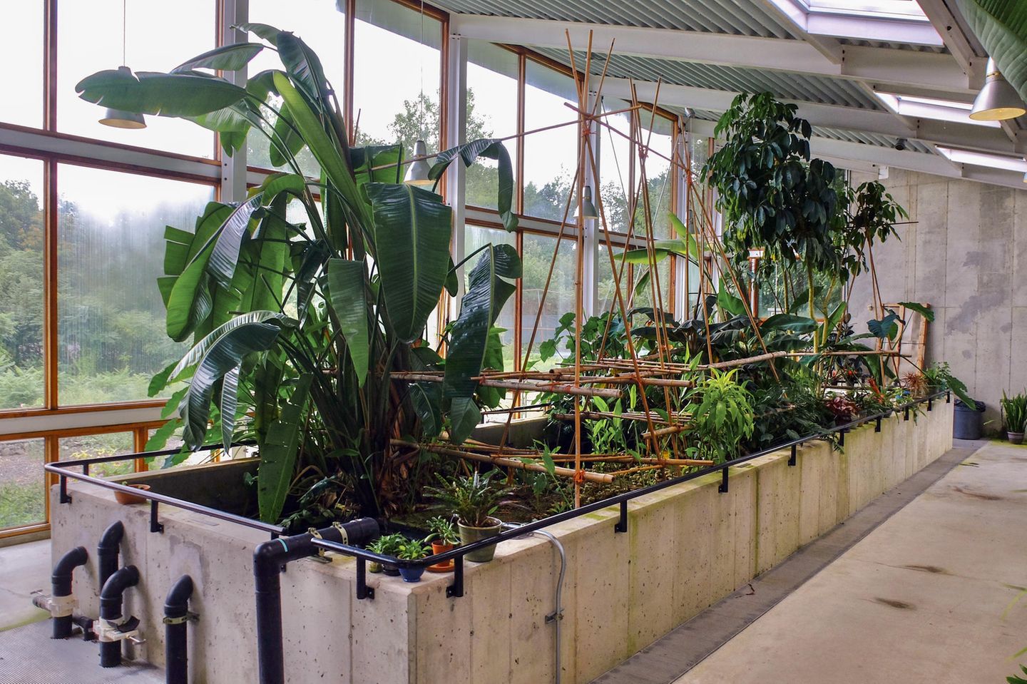 Die Kläranlage als Ökosystem verschiedene Pflanzen auf einer Maschine, die Abwasser recycelt