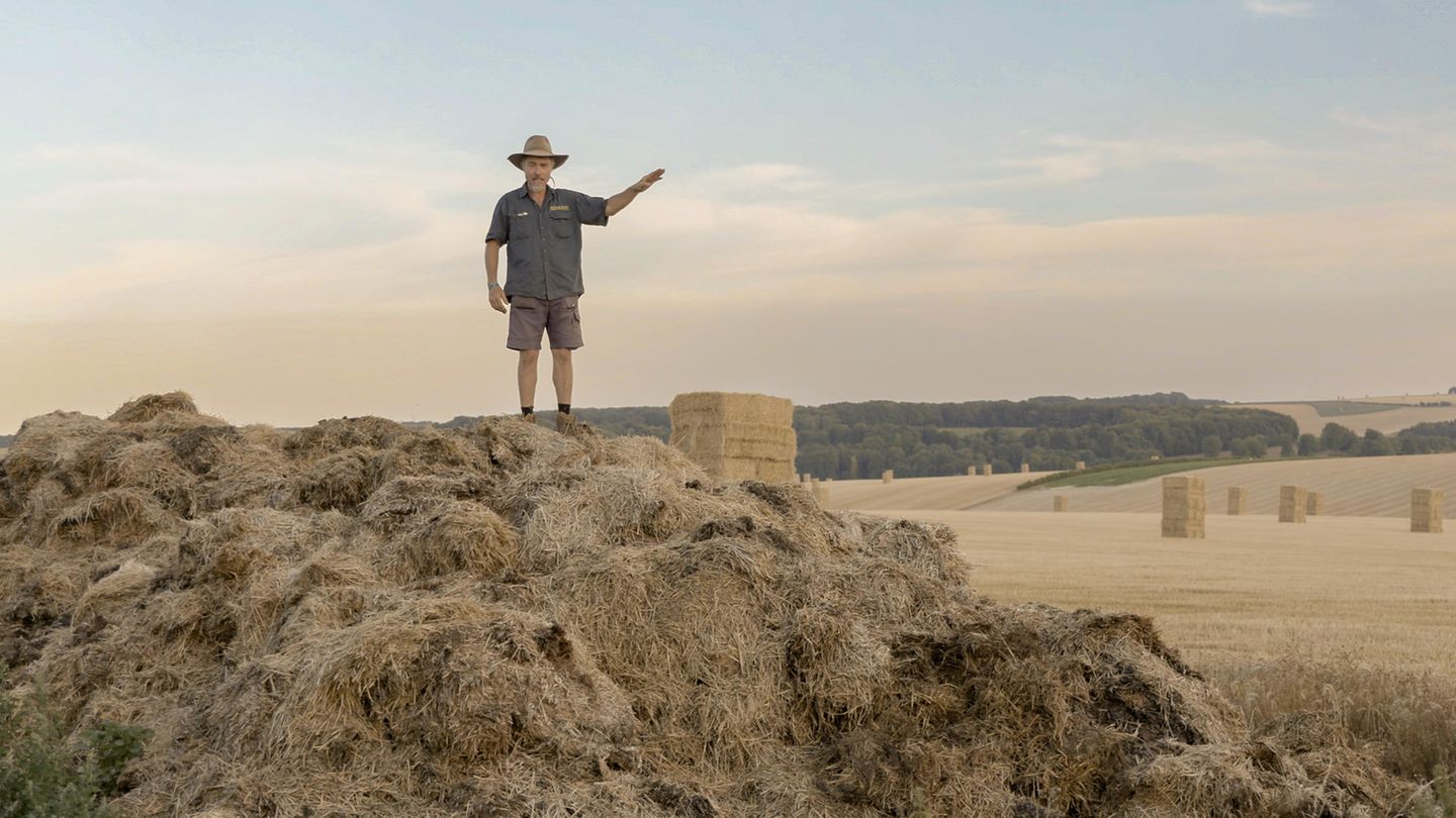 Meister des Mists Mann steht auf einem Hügel aus Kuhdung