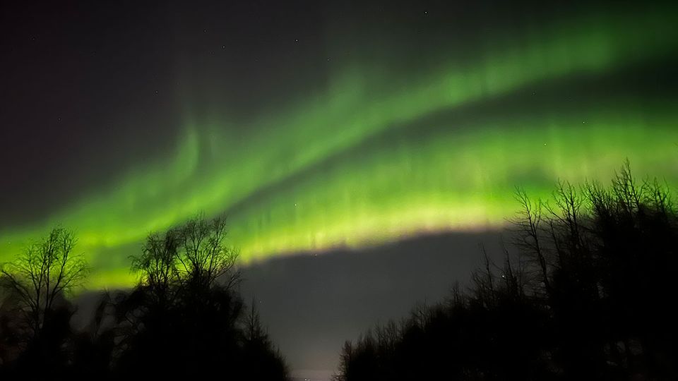 Grüne Polarlichter bei Nacht