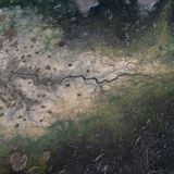 Zerstörte Fläche aus der Vogelperspektive