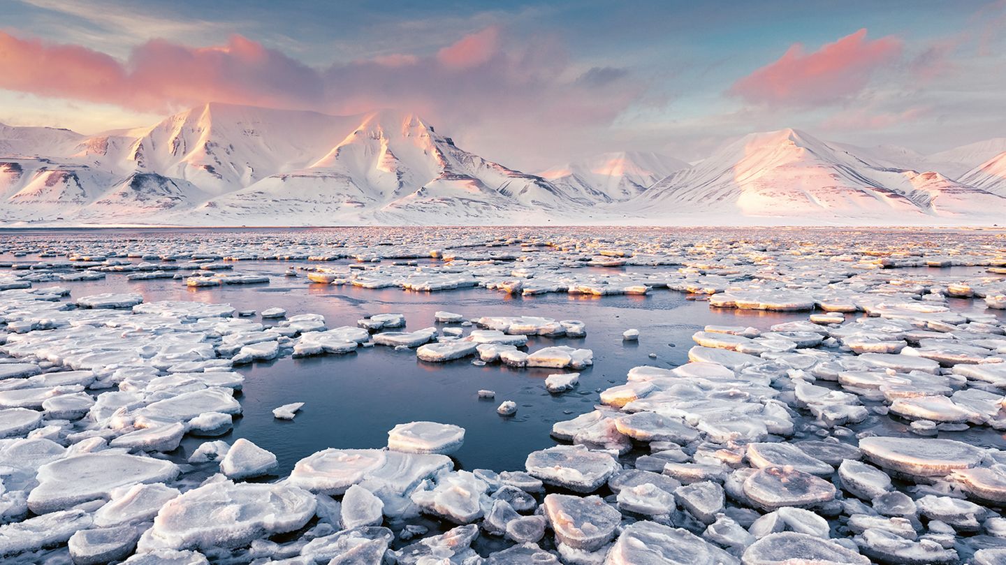 Runde Eisplatten treiben wie Seerosen auf dem arktischen Gewässer der Bucht von Adventdalen. Sie liegt unweit der Kleinstadt Longyearbyen, die Spitzbergens Hauptsiedlung ist – und noch dazu eine der nördlichsten Ortschaften der Welt