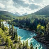 Bäume stehen für einen Fluss in den Rocky Mountains Spalier. Das türkisfarbene Gewässer ist nur einen Steinwurf vom Abraham Lake entfernt, der wegen seiner Eisblasen unter der gefrorenen Wasseroberfläche weltbekannt ist