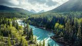 Bäume stehen für einen Fluss in den Rocky Mountains Spalier. Das türkisfarbene Gewässer ist nur einen Steinwurf vom Abraham Lake entfernt, der wegen seiner Eisblasen unter der gefrorenen Wasseroberfläche weltbekannt ist