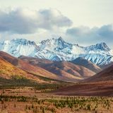 Der Denali in Alaska sorgt im gleichnamigen Nationalpark für farbliche Kontraste. Mit seinen fast 6200 Metern gehört der weiße Riese zu den berühmten Seven Summits, den sieben höchsten Bergen der sieben Kontinente: als würdiger Vertreter Nordamerikas