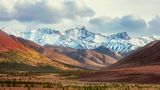 Der Denali in Alaska sorgt im gleichnamigen Nationalpark für farbliche Kontraste. Mit seinen fast 6200 Metern gehört der weiße Riese zu den berühmten Seven Summits, den sieben höchsten Bergen der sieben Kontinente: als würdiger Vertreter Nordamerikas