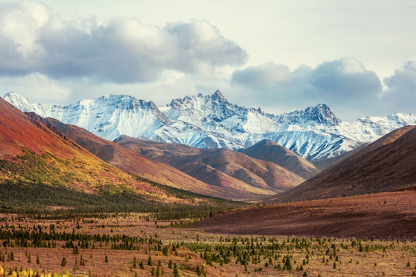 Der Denali in Alaska sorgt im gleichnamigen Nationalpark für farbliche Kontraste. Mit seinen fast 6200 Metern gehört der weiße Riese zu den berühmten Seven Summits, den sieben höchsten Bergen der sieben Kontinente: als würdiger Vertreter Nordamerikas