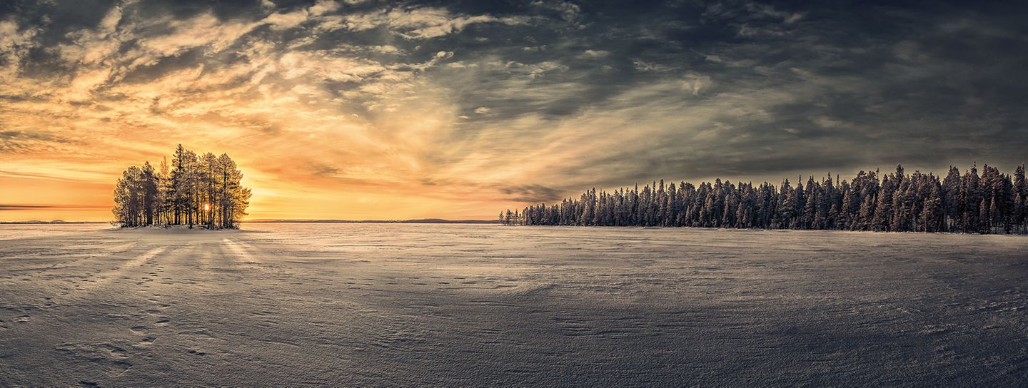 Weiter ist nichts: Diese Landschaft im hohen Norden scheint endlos zu sein. Und sie bietet, diese Aussage ist nicht aus der Luft gegriffen, die wohl sauberste Luft der Welt – laut WHO. Ein Grund dafür: Abermillionen von Bäumen wie diese, die hier so schön in Grüppchen stehen