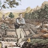 Napoleon Bonaparte in seinem Garten auf St. Helena