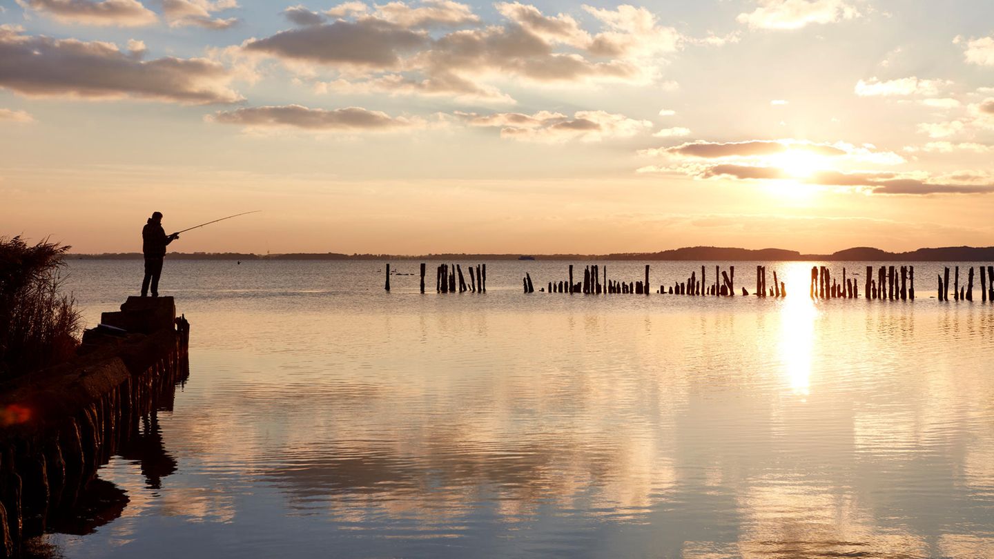Angler auf Rügen
