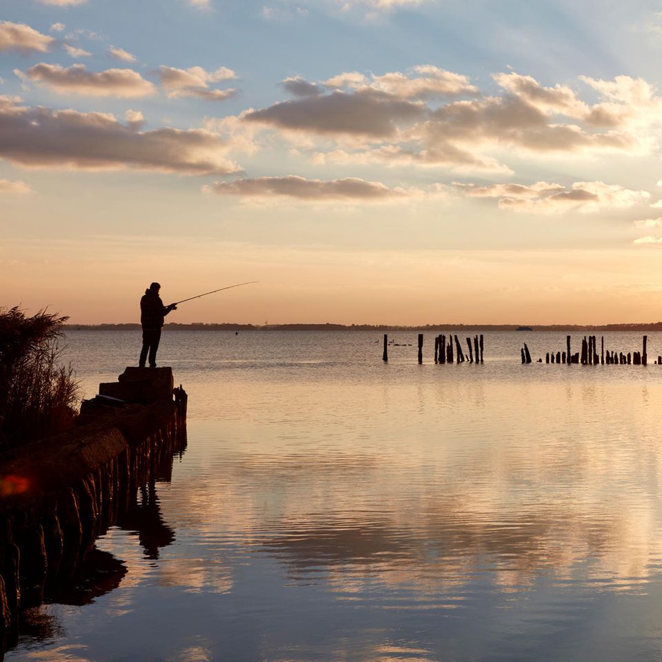 Angler auf Rügen