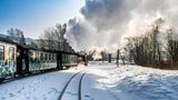 Zug in Winterlandschaft