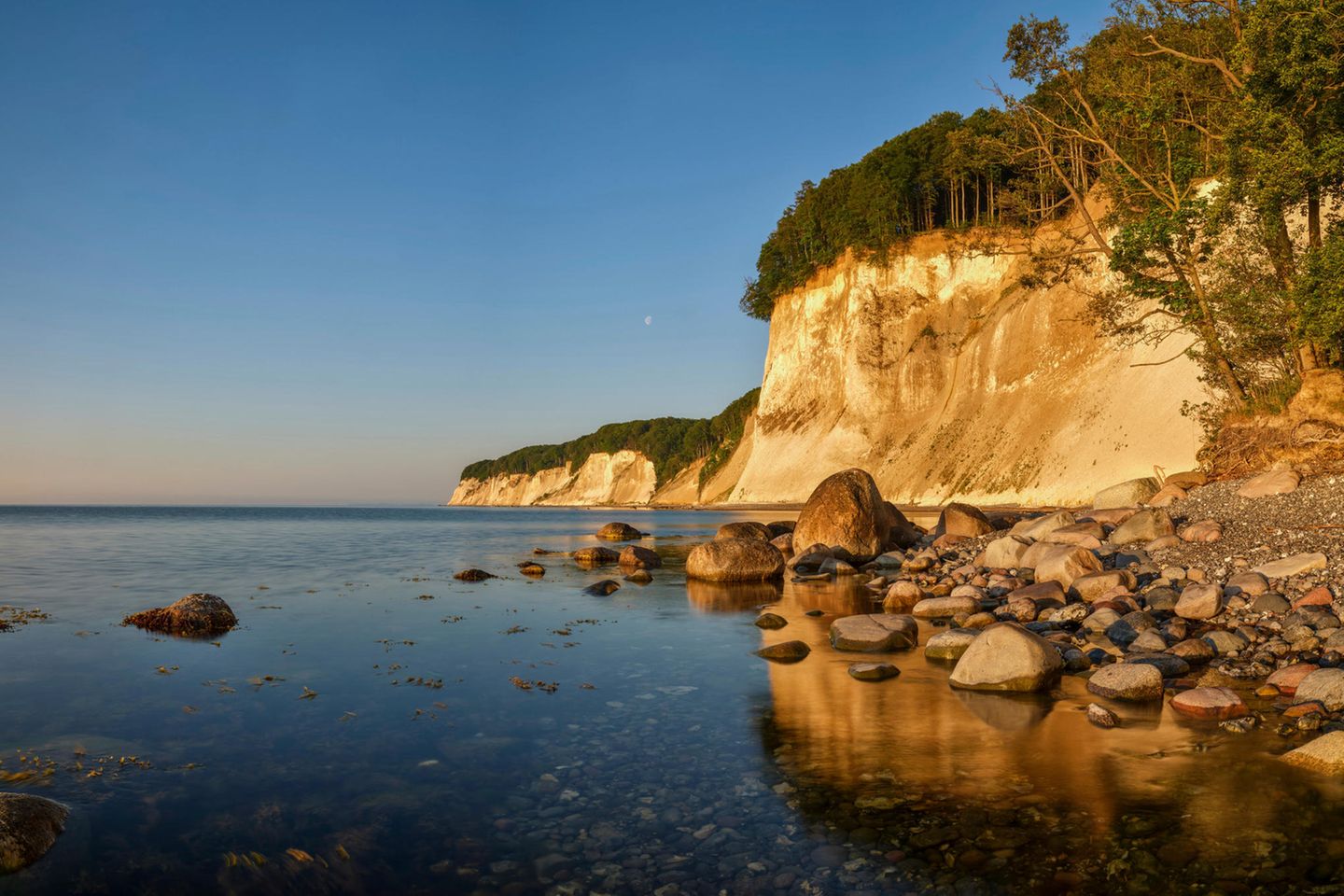 Morgenstimmung an den Kreideküste im Nationalpark Jasmund auf Rügen