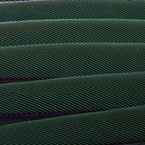 Federn eines Rotflügelsittichs