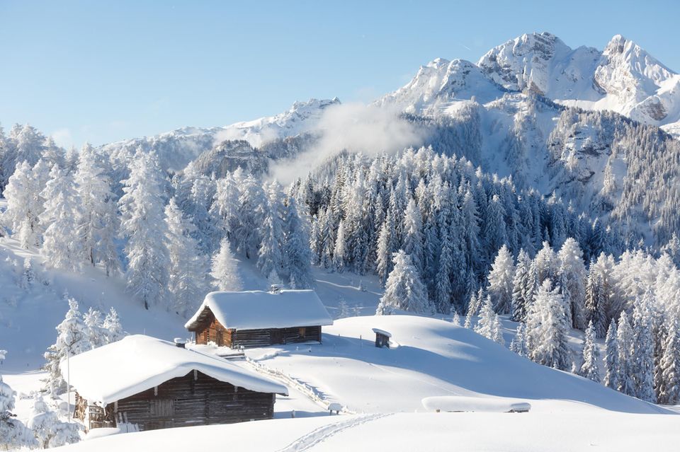 Schneelandschaft bei Sonnenschein  1.5004