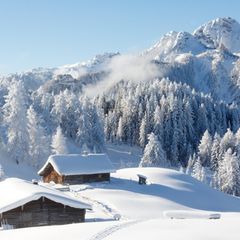 Schneelandschaft bei Sonnenschein