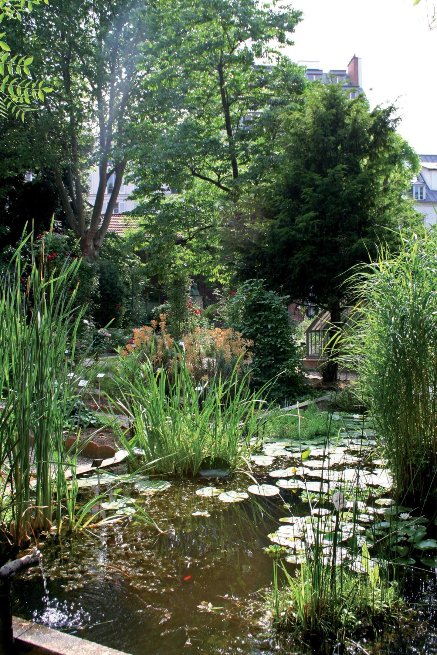 Paradies en miniature: Botanischer Garten der Pharmazeutischen Fakultät Bäume am See, dahinter Häuser