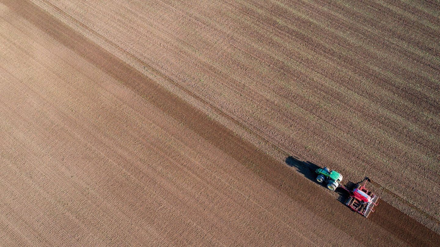 Landwirtschaft und Wasser sind eng miteinander verbunden: Im trockenen Hitzesommer 2018 lagen die Winterweizenerträge 15 Prozent niedriger als in normalen Jahren