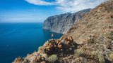 Los Gigantes auf Teneriffa