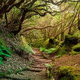 Anaga Rural Park auf Teneriffa